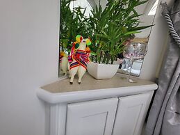 Glamping With Llamas