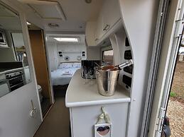 Glamping With Llamas