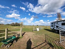 Glamping With Llamas