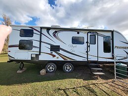 Glamping With Llamas