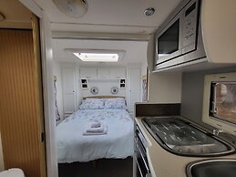 Glamping With Llamas