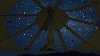 Glamping With Llamas