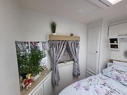 Glamping With Llamas