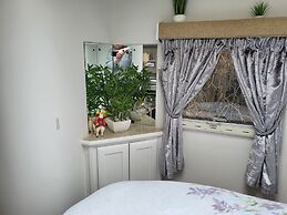 Glamping With Llamas