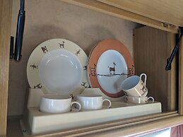 Glamping With Llamas