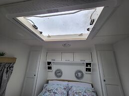 Glamping With Llamas