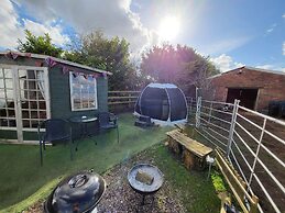 Glamping With Llamas