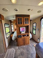 Glamping With Llamas