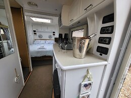 Glamping With Llamas