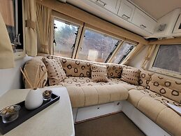 Glamping With Llamas