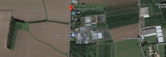 Glamping With Llamas