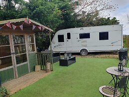 Glamping With Llamas