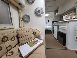 Glamping With Llamas