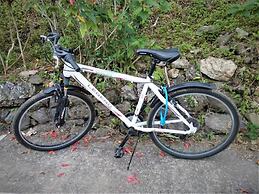 Fare Arana Moorea Guesthouse