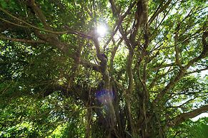 Sun Ishigaki no Yado