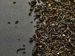 Garden Terrace Saga Hotels & Resorts