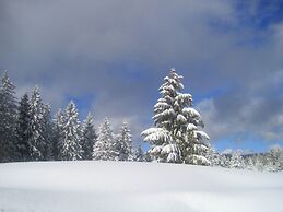 Hotel & Chalets Herrihof