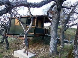 LES TRUFFIERS Cabane