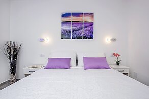 Apartment and Studio Tereza