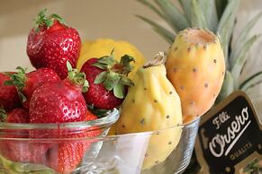 Villa Sece - Luxury Rooms