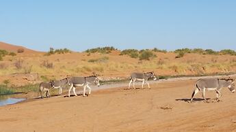 Morocco Deluxe Camp Assif N itrane