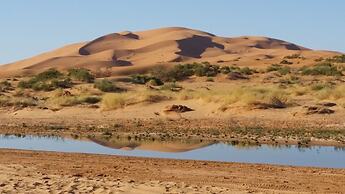 Morocco Deluxe Camp Assif N itrane