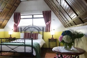 Hortensias Chalets Vara Blanca