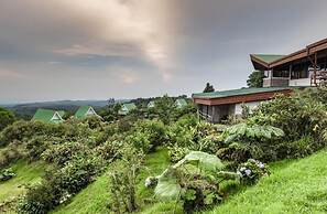 Hortensias Chalets Vara Blanca