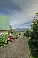 Hortensias Chalets Vara Blanca