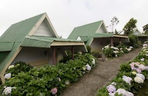 Hortensias Chalets Vara Blanca