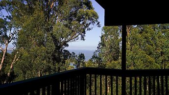 Marbella Lane Eco Friendly Treehouse SFO