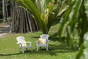 mist at Cape Tribulation