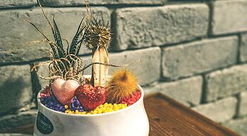 Kenting True Color Hostel