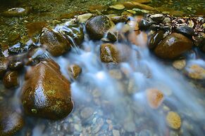 Daintree Cascades