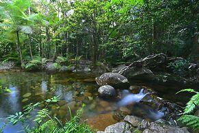 Daintree Cascades