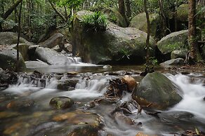 Daintree Cascades
