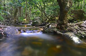 Daintree Cascades