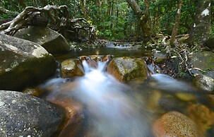 Daintree Cascades
