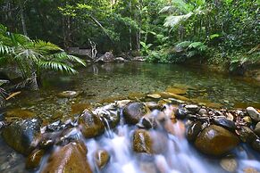 Daintree Cascades