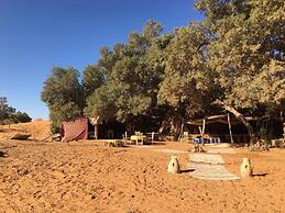 Khamlia Desert Bed & Breakfast