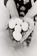 Khamlia Desert Bed & Breakfast