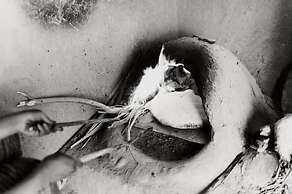 Khamlia Desert Bed & Breakfast