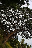 Sigiriya Lahiru Homestay