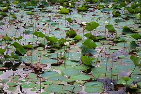 Sigiriya Lahiru Homestay
