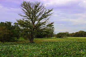 Sigiriya Lahiru Homestay