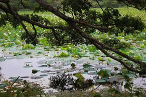 Sigiriya Lahiru Homestay