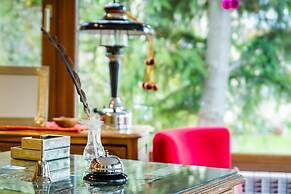 MadreTierra Patagonia