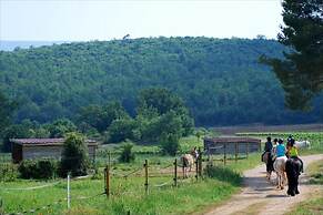 Les Terres de Saint Hilaire