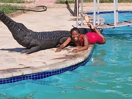 Beatrice Lodges and Conference Centre