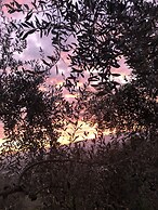 Agriturismo Poggio alla Pieve